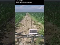 atuador linear elétrico esperto