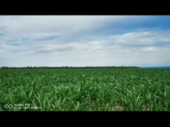 atuador linear elétrico esperto