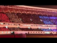 wireless controlled LED sticks lighting like stars on a live concert